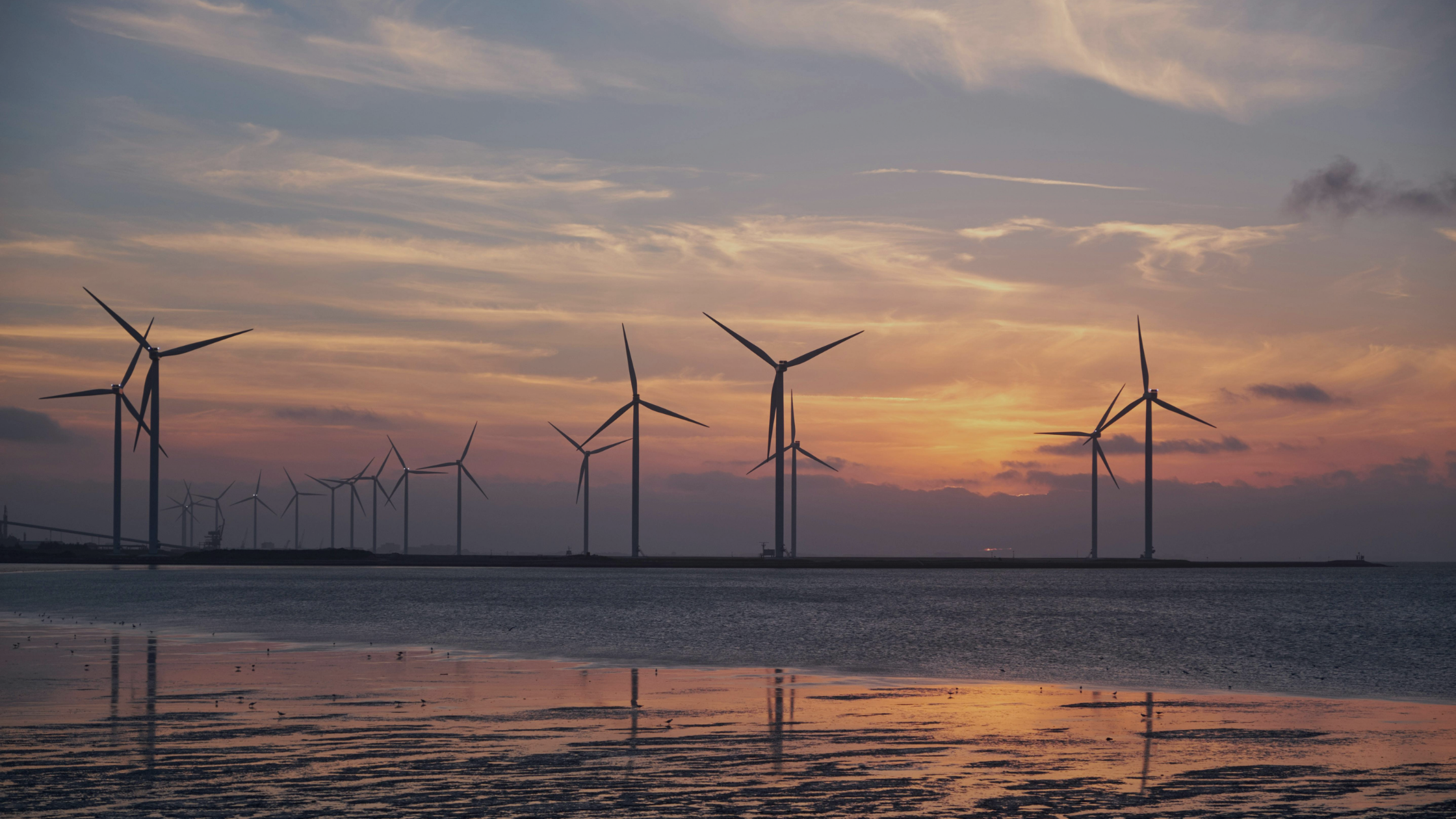 La energía eólica como referencia en buenas prácticas medioambientales.